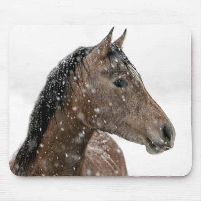 Mousepad Cavalo no inverno (Frente)