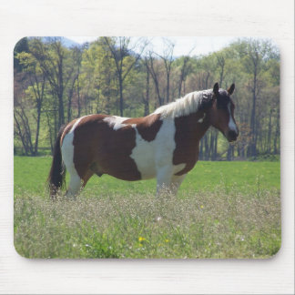 Mousepad Cavalo nos Wildflowers