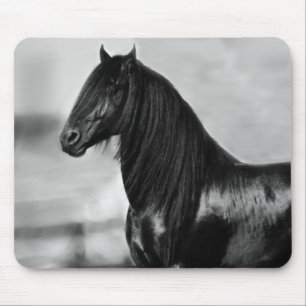 Mousepad Cavalo orgulhoso do garanhão do preto do frisão