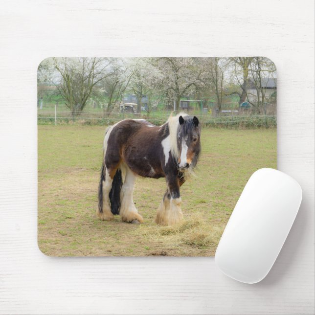 Mousepad Cavalo-palha no pasto (Com mouse)