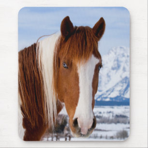 Mousepad Cavalo Pinto Monte Moran no Inverno