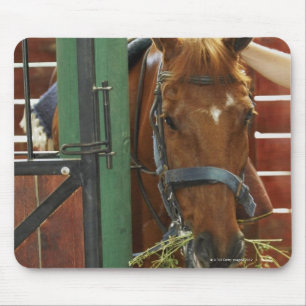 Mousepad Cavalo que está em um estábulo