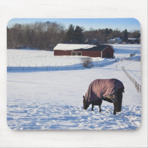 Mousepad Cavalo que pasta em um campo coberto de neve em