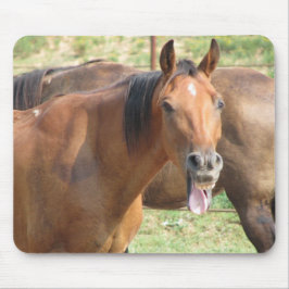 Mousepad Cavalo Rindo