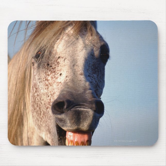 Mousepad cavalo risonho (Frente)
