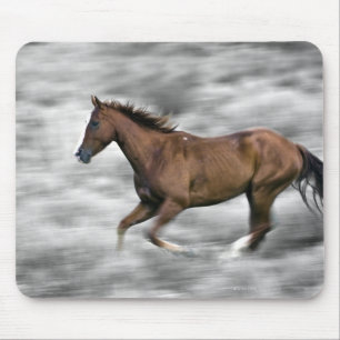 Mousepad Cavalo Running