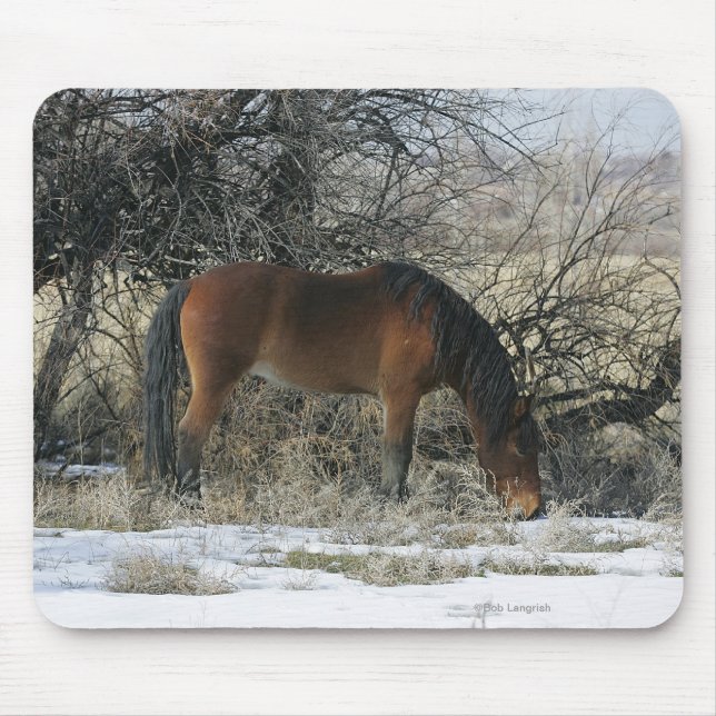 Mousepad Cavalo selvagem do mustang na neve 1 (Frente)