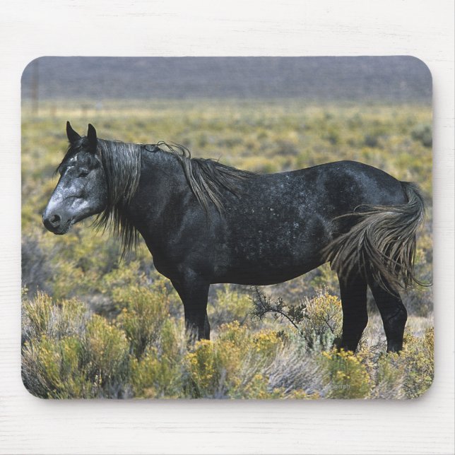 Mousepad Cavalo selvagem do mustang no deserto (Frente)