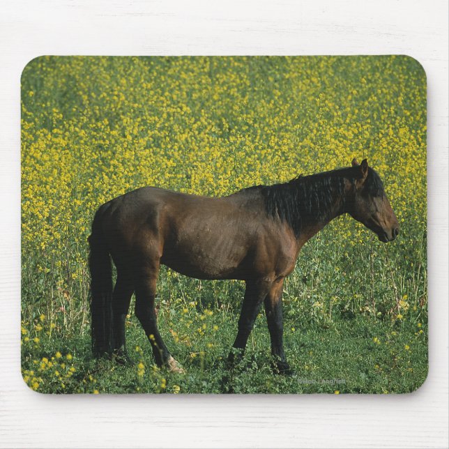 Mousepad Cavalo selvagem do mustang que está nas flores (Frente)