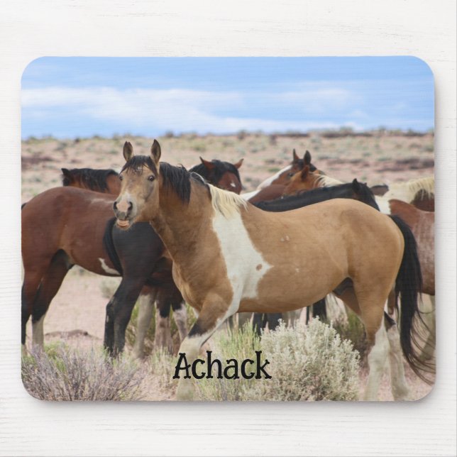 Mousepad Cavalo selvagem sorri  (Frente)