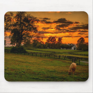Mousepad Cavalo solitário ao pôr do sol