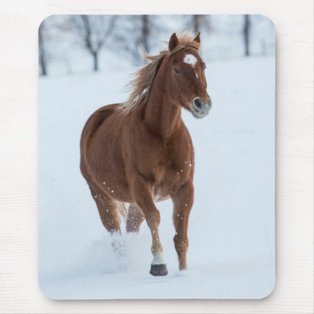 Mousepad Cavalo solteiro correndo na neve (Frente)