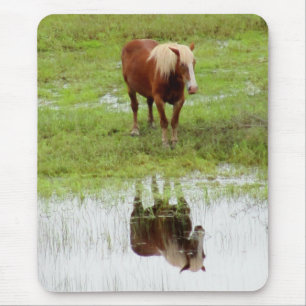 Mousepad Cavalo Verificando seu Reflexo