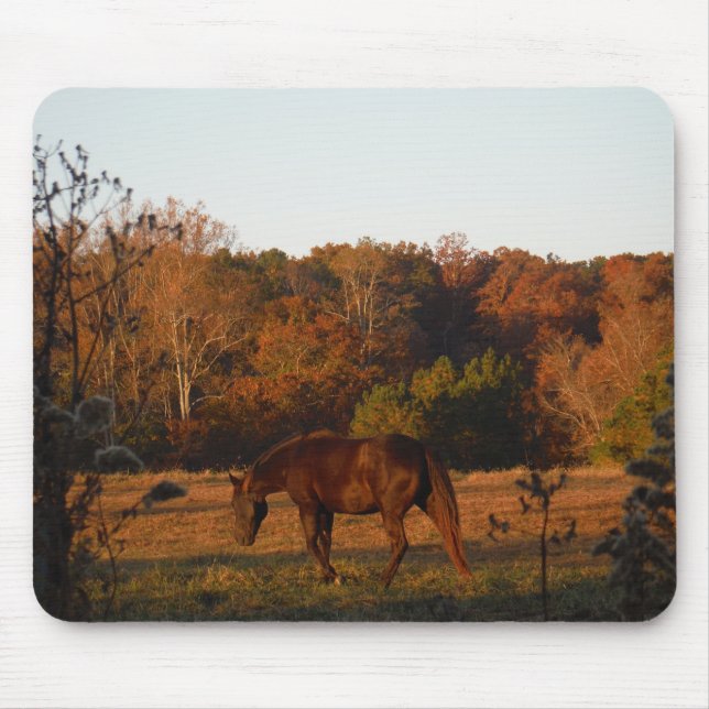 Mousepad Cavalo Vermelho Brown, bosque de outono. (Frente)