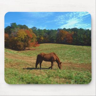 Mousepad Cavalo vermelho castanho, árvores de queda, céus a