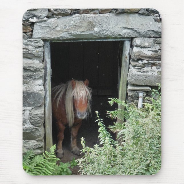 MOUSEPAD CAVALOS (Frente)