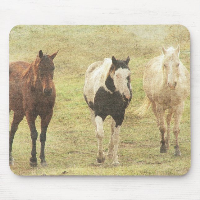 Mousepad Cavalos (Frente)