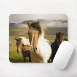 Mousepad Cavalos