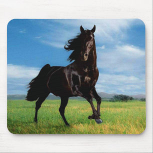 Mousepad Cavalos