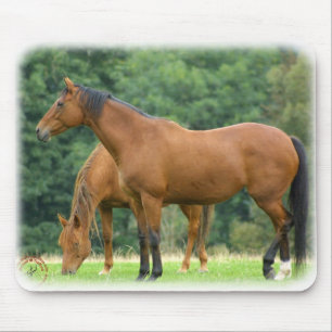 Mousepad Cavalos 9A81D-10