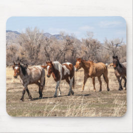 Mousepad Cavalos Bonitos em Pastagem