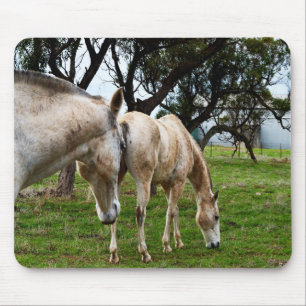 Mousepad Cavalos Brancos De Moda,