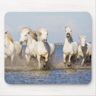 Mousepad Cavalos Camargue