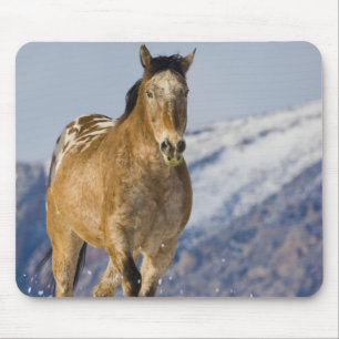 Mousepad Cavalos Correndo na Neve