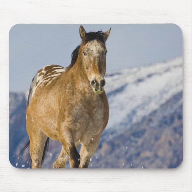 Mousepad Cavalos Correndo na Neve (Frente)