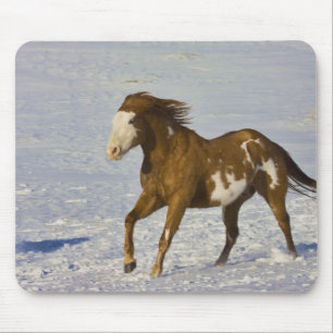 Mousepad Cavalos Correndo na Neve