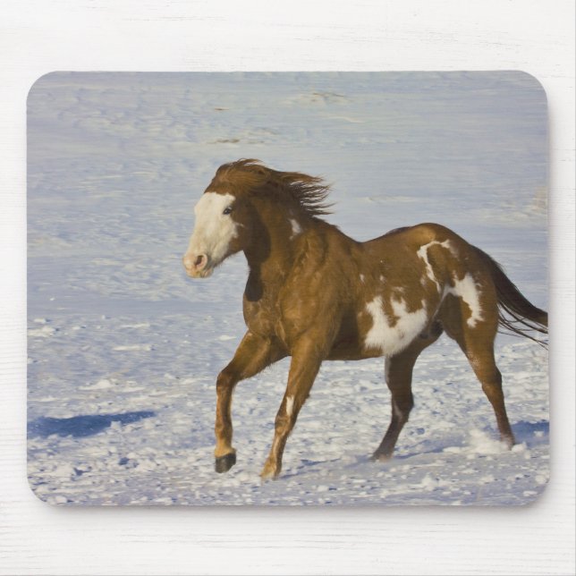 Mousepad Cavalos Correndo na Neve (Frente)