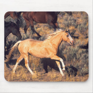 Mousepad Cavalos correndo uma Fazenda Ponderosa