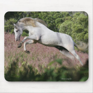 Mousepad Cavalos da fantasia: Galope do primavera