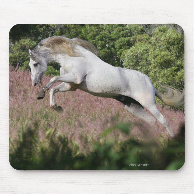 Mousepad Cavalos da fantasia: Galope do primavera (Frente)
