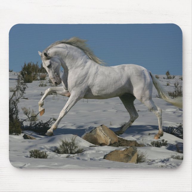 Mousepad Cavalos da fantasia: Rei da neve (Frente)