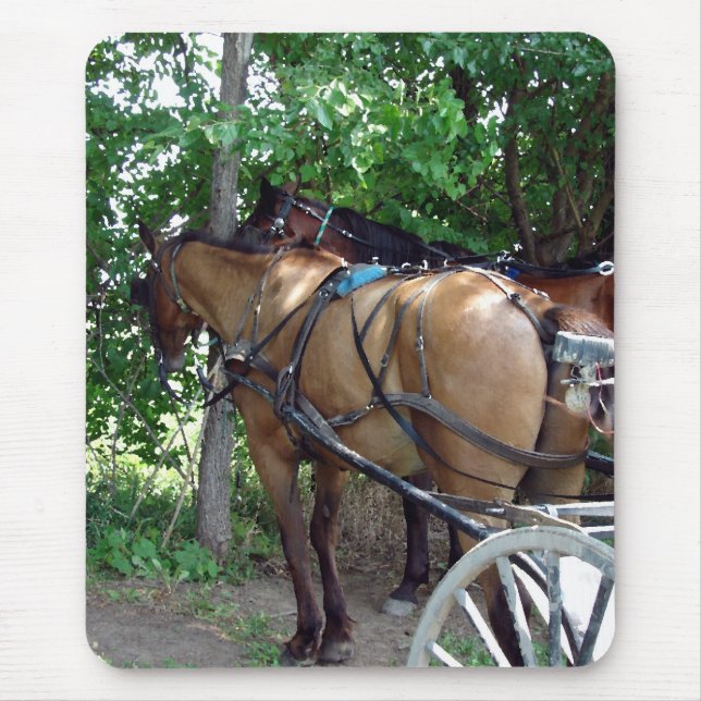 Mousepad Cavalos de Amish (Frente)
