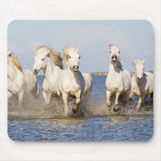 Mousepad Cavalos de Camargue (Frente)