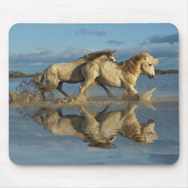 Mousepad Cavalos de Camargue e Reflexão, Sul da França (Frente)
