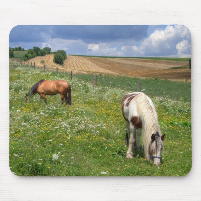 Mousepad Cavalos de Cruzamento (Frente)