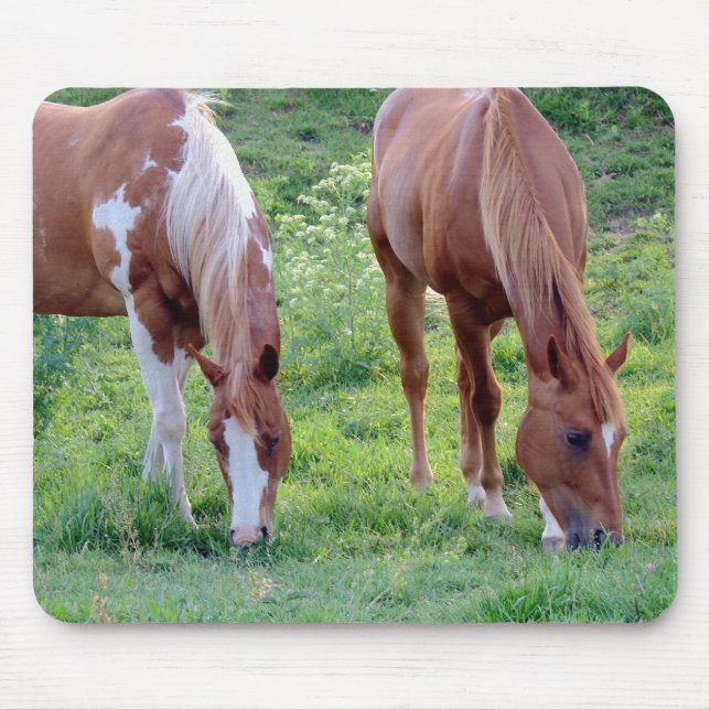 Mousepad Cavalos de Cruzamento (Frente)