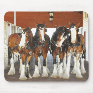Mousepad Cavalos de esboço de Clydesdale no celeiro