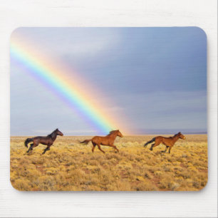 Mousepad Cavalos de Mustang Selvagem e Arco-íris