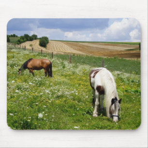 Mousepad Cavalos de pasto