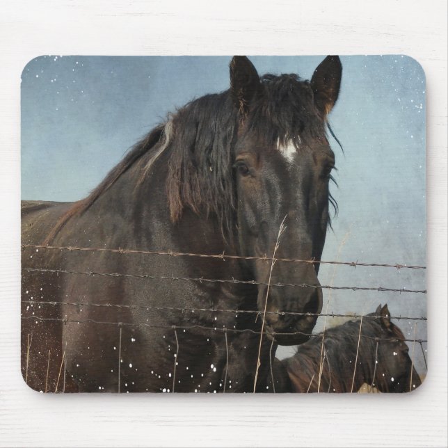 Mousepad Cavalos de Rascunho numa pastagem (Frente)