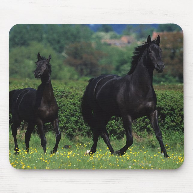 Mousepad Cavalos do puro-sangue no campo de flor (Frente)