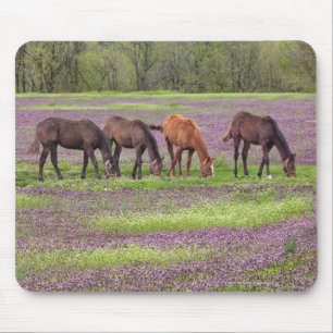 Mousepad Cavalos do puro-sangue no campo de flores do