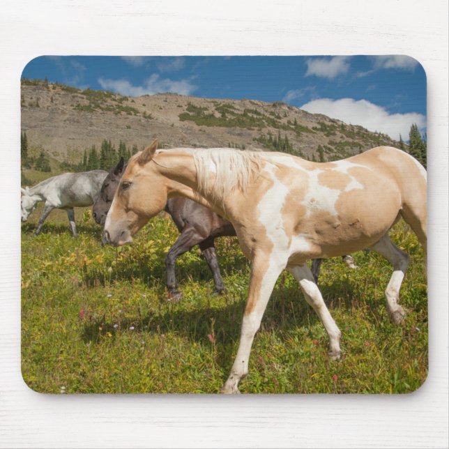 Mousepad Cavalos e mulas (Frente)