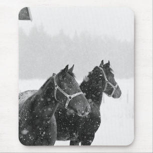 Mousepad Cavalos em neve