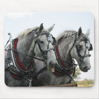 Mousepad Cavalos engraçados