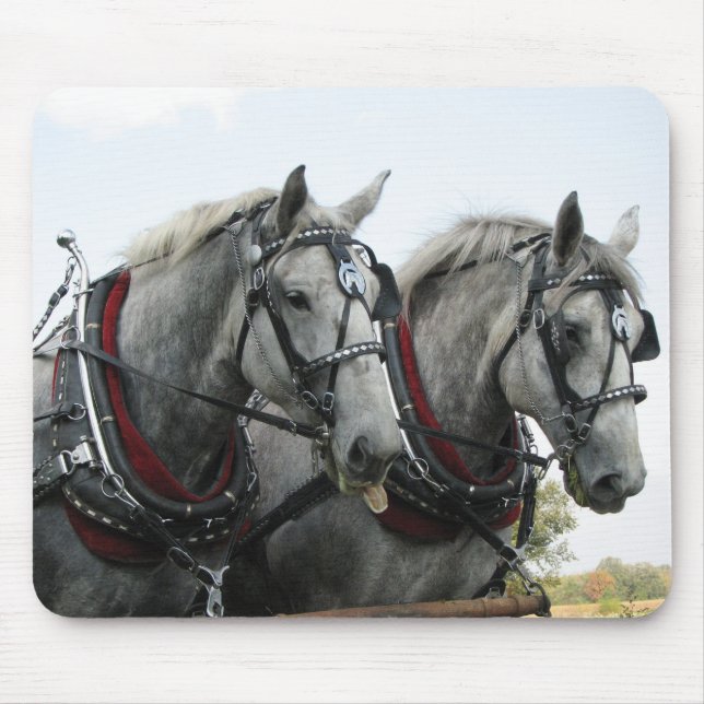 Mousepad Cavalos engraçados (Frente)